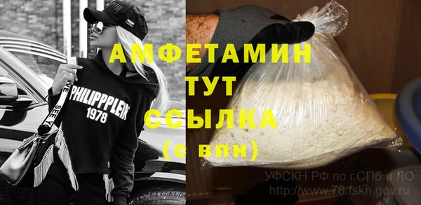 твердый Аркадак