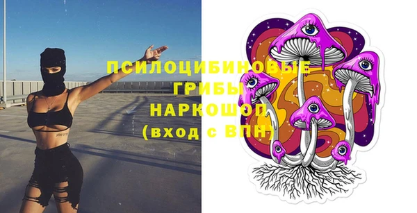 твердый Аркадак