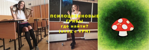 твердый Аркадак